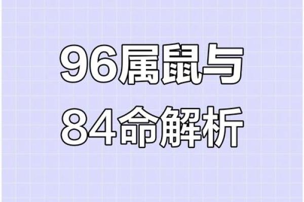 84年属鼠女2024年运势及运程详解(84年属鼠女2024年运势及运程详解视频讲解)