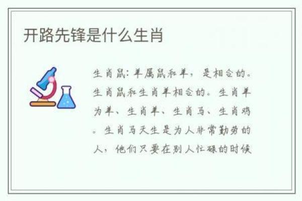 头头是道代表什么生肖