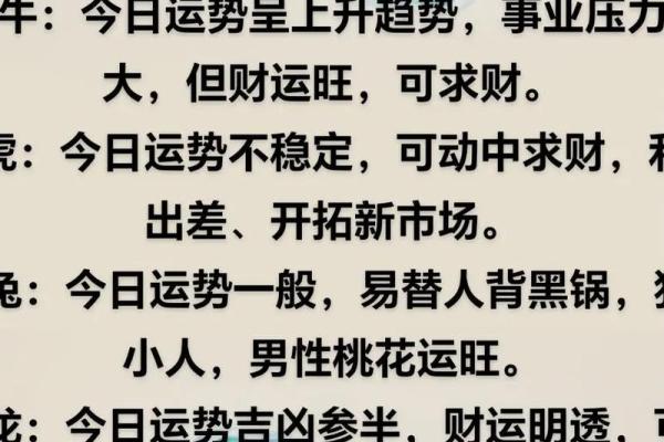 属鼠的人今年运势(属鼠人今年运势)