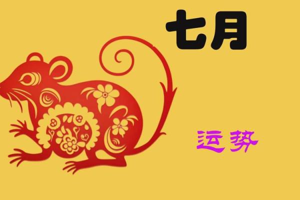 鼠2025运势(96男鼠2025运势)
