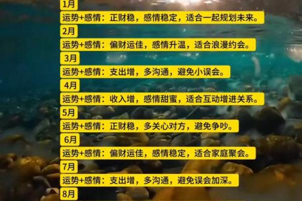 属鼠人4月运势(属鼠人4月运势)