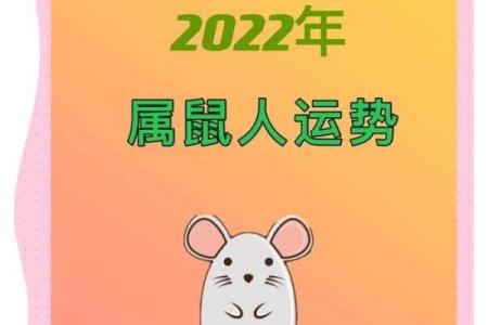 属鼠今日运势(72年属鼠今日运势)