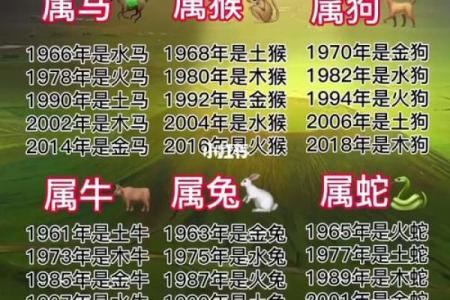 2021是什么生肖念 21是什么生肖号码