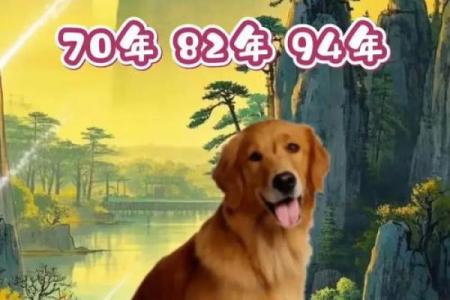 1994年属狗结婚吉日