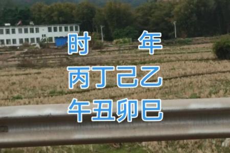 本月作灶吉日查询