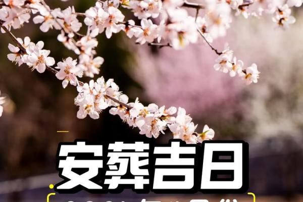2025年12月安葬最佳时间表 2025年12月安葬吉日查询 2025年12月安葬最佳时间表 2025年12月安葬吉日查询