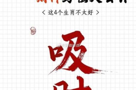2025年11月求财吉日全在这(12天精选+实用清单)