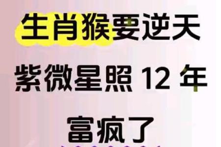 2025年11月生肖猴射手座破日宜忌:破旧创新可尝试