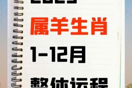 2025年11月修造吉日成日解析:生肖羊白羊座运势查询