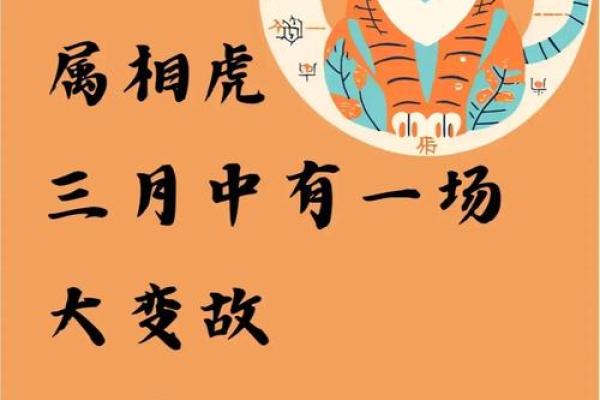 2025年11月纳财吉日选择：生肖虎平日运势双鱼座指南