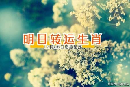 2025年11月第4周吉日推荐:生肖蛇处女座抓住月尾好运