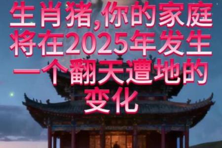 2025年11月生肖猪双鱼座入宅后闹房吉日：闹房习俗与吉日