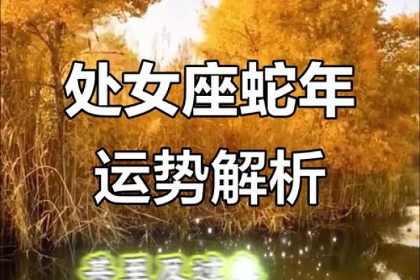 2025年11月开市执日吉日选择：生肖蛇处女座运势提示