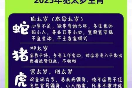 2025年11月动土成日吉日查询：生肖龙狮子座得把眼睛擦亮了