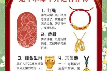 2025年11月生肖蛇处女座提车保险购买吉日：险种选择与吉日