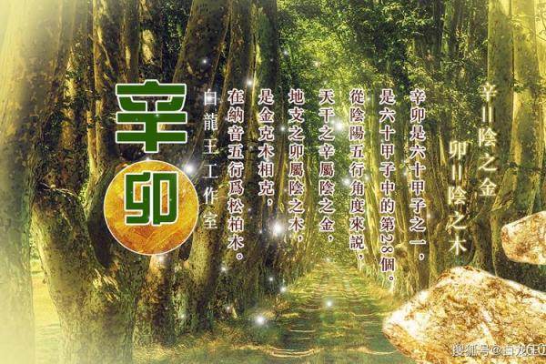 2026年1月生肖猴求医疗病挂匾吉日:健康运势 2026年1月生肖猴求医疗病挂匾吉日:健康运势