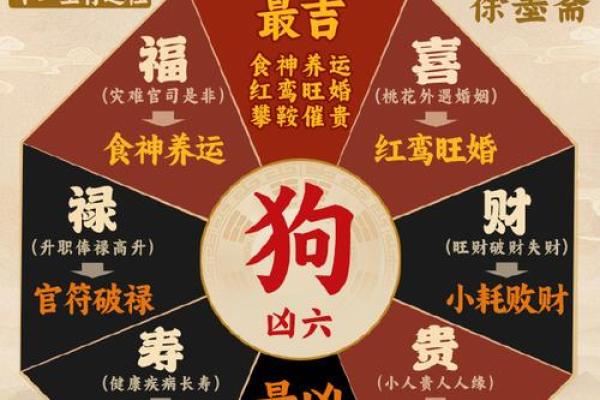 2026年1月生肖狗水瓶座求财投资项目吉日：风险偏好与吉日