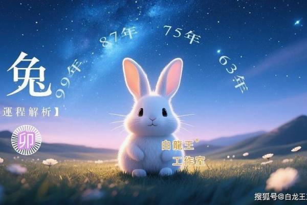 2026年1月生肖兔平治道涂修墓吉日:道路修整 2026年1月生肖兔平治道涂修墓吉日:道路修整