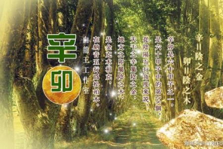 2026年1月生肖猴求医疗病挂匾吉日：健康运势