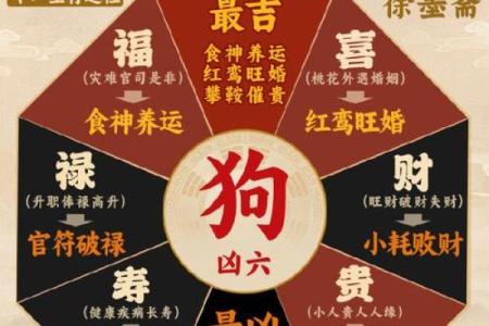 2026年1月生肖狗水瓶座求财投资项目吉日：风险偏好与吉日