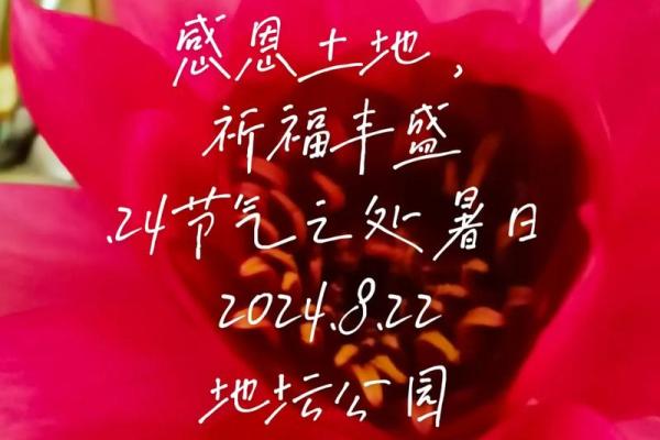 2026年5月祈福最吉利日子 2026年5月适合祈福的好日子 2026年5月祈福最吉利日子 2026年5月适合祈福的好日子