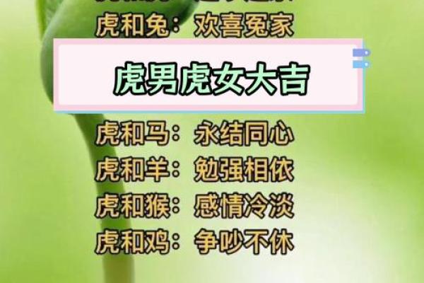 2025年11月嫁娶满日吉日推荐:生肖虎双子座运势指南 2025年11月嫁娶满日吉日推荐:生肖虎双子座运势指南