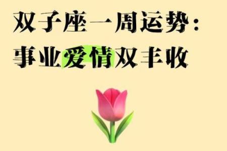 2025年11月生肖虎双子座满日宜忌：丰收庆典宜举行