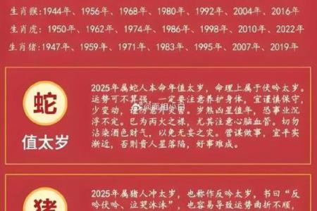 2025年11月入宅开日吉日推荐：生肖蛇天秤座宜忌解析