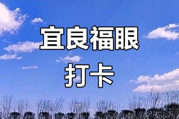 2026年1月纳财吉日平日选择：投资理财宜忌得把眼睛擦亮了