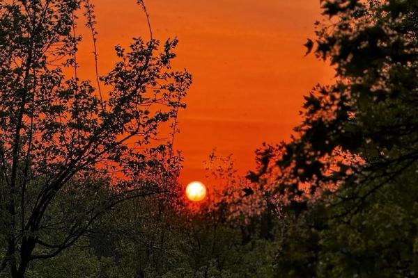 2026年1月祈福自然疗愈地吉日：生态祈福自然疗愈