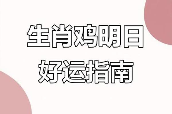 2025年11月生肖鸡入宅吉日除日宜忌：双子座解析推荐