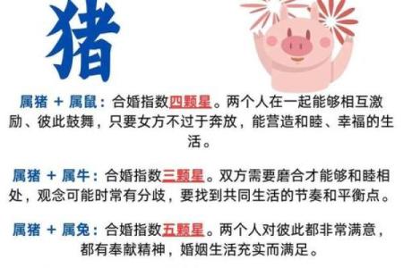 2026年1月25日宜忌解析：生肖猪需注意什么？