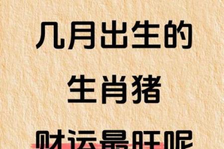 2025年11月生肖猪双鱼座祭祀诚心诚意吉日：心念专注与吉日