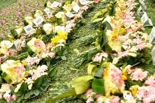 2026年1月安葬树葬花葬吉日：回归自然生命循环