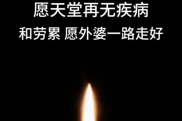 2026年1月安葬树葬花葬吉日：回归自然生命循环