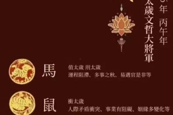 2025年11月纳财平日吉日选择:生肖虎双子座运势分析 2025年11月纳财平日吉日选择:生肖虎双子座运势分析