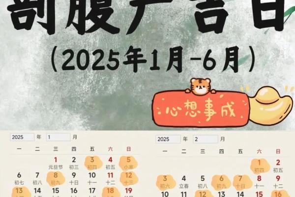 十二月份抛妇产的黄道吉日有哪几天 2024年12月剖腹产吉日查询 十二月份抛妇产的黄道吉日有哪几天 2024年12月剖腹产吉日查询