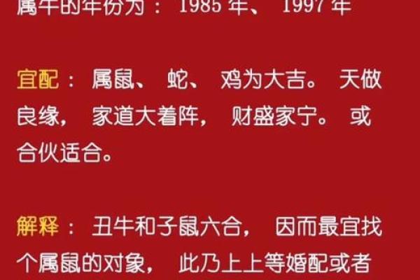 1997属牛2025年结婚吉日 属牛人2025年最佳婚嫁月份 1997属牛2025年结婚吉日 属牛人2025年最佳婚嫁月份