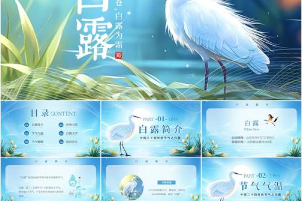 2020白露节气可以搬家吗 2020白露搬家吉日查询 2020白露节气可以搬家吗 2020白露搬家吉日查询