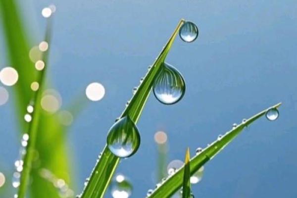 2020白露节气可以搬家吗 2020白露搬家吉日查询 2020白露节气可以搬家吗 2020白露搬家吉日查询