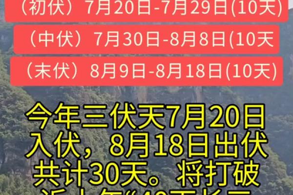 2020年入伏从哪一天开始 2020年入伏具体日期