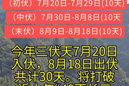 2020年入伏从哪一天开始 2020年入伏具体日期