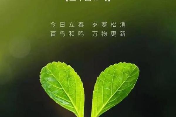 2020立春是几月几日 2020年立春具体日期