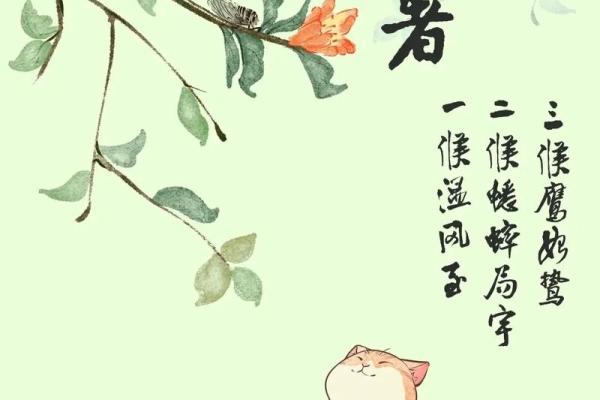 2020年小暑 小暑节气具体时间查询