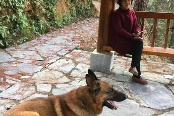 2019数九从什么时候开始 2019年数九时间表查询