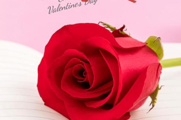 2020七夕情人节快乐祝福语 2020七夕祝福语送老婆