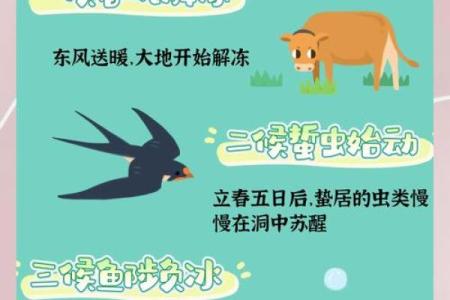 2020年立春几点 2020年立春具体时间查询