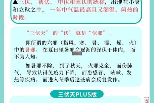 2020年暑伏的时间 2020年三伏天从几号开始