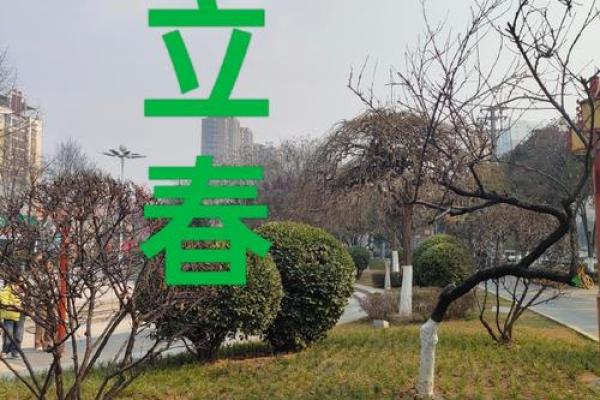 2020年过了立春才是鼠年吗 2020年立春后属相是鼠还是猪