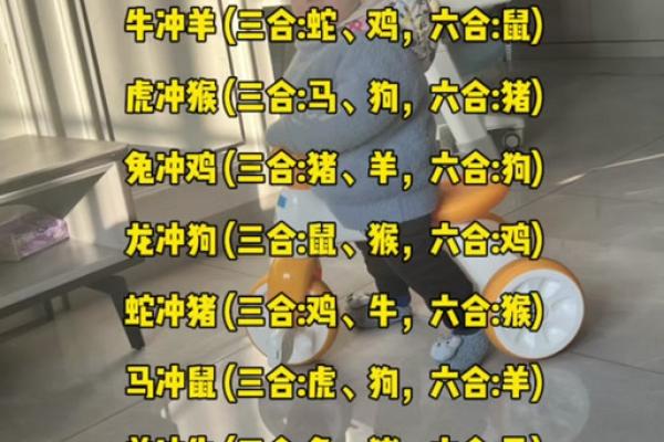 2020年过了立春才是鼠年吗 2020年立春后属相是鼠还是猪